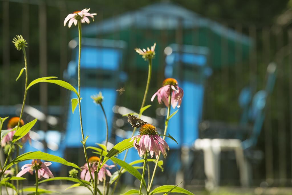 Brook Farm Inn เลนอกซ์ ภายนอก รูปภาพ